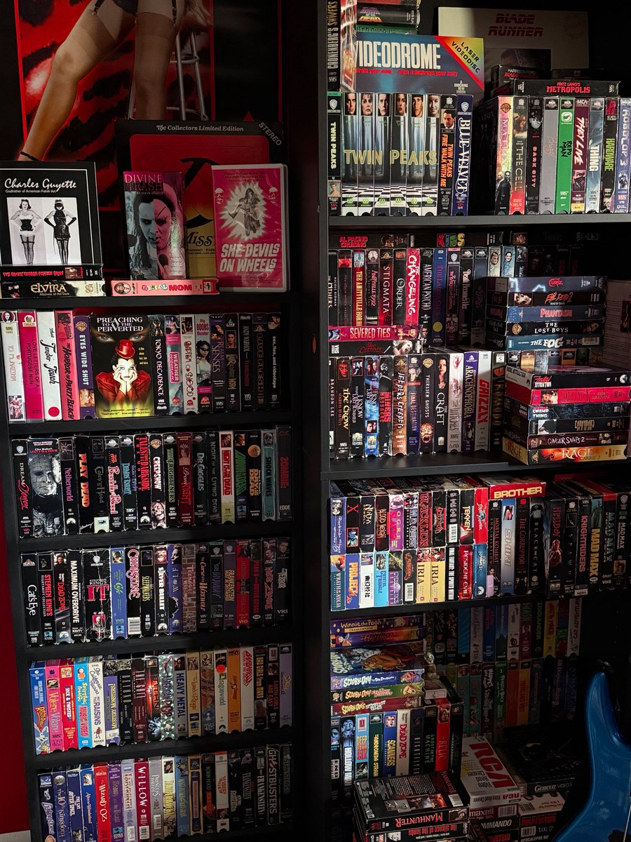 karly 🧠🩸🥩🫁🥀 tweet media