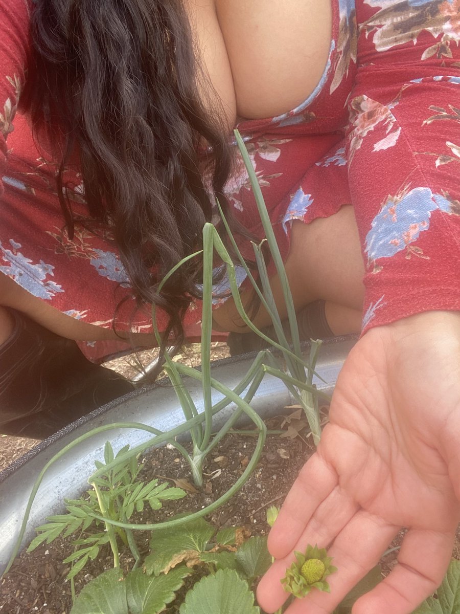 Can’t, I’m a garden fairy right now. Retweet for a bonus 😉#milf #boobs