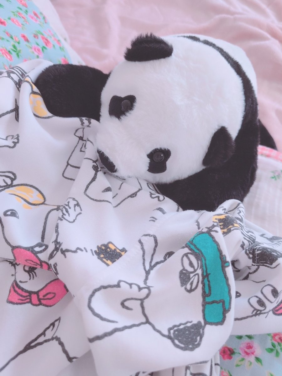 hoccoriocayu's tweet photo. あのー、それ今から着たいんだけど･･･🥺
(このあと離してくれました)

#ぬい撮り #ぬいぐるみの時間
#omonui https://t.co/XjmFxZqEWg