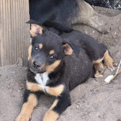 NFTPartners tweet media