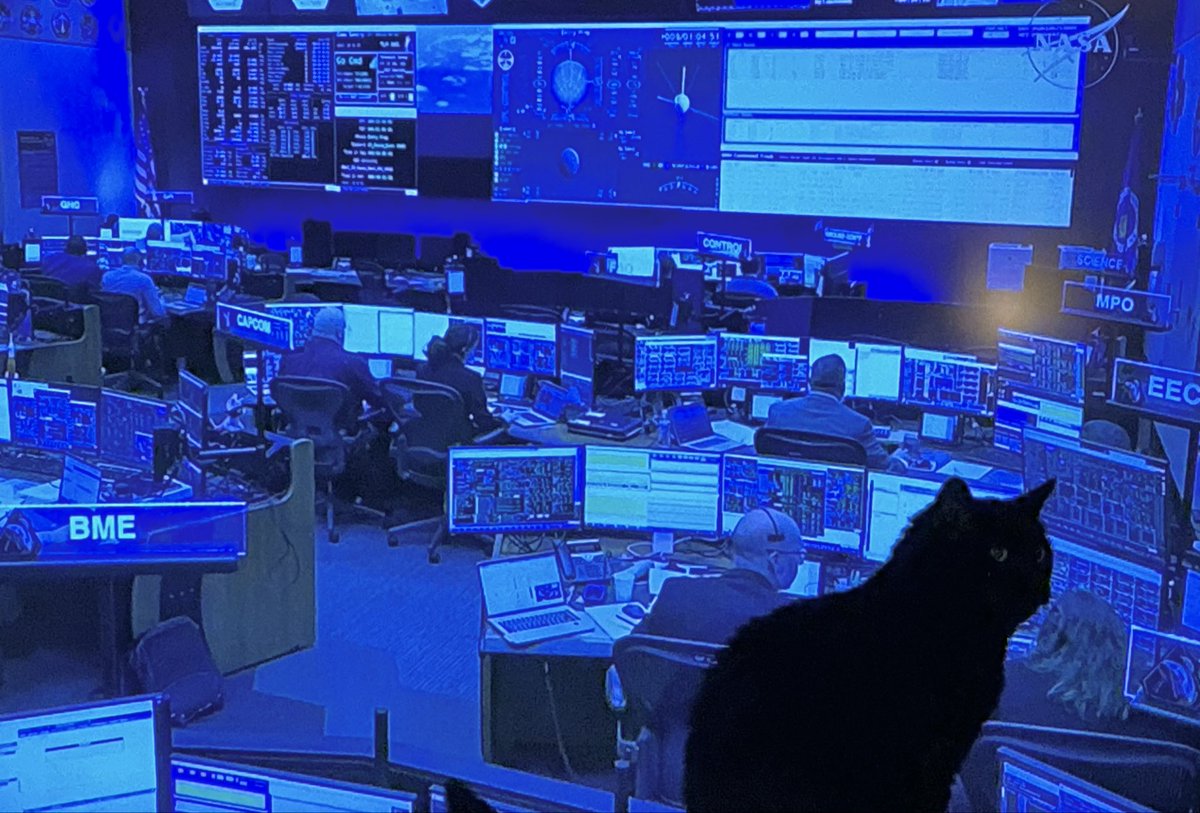 SageDeSnail's tweet photo. Don’t worry @NASA my cats at Mission Control, he’s got it all under control 👍 #artemis #nasa #cat #astronaut https://t.co/GYL8Vu7tu0