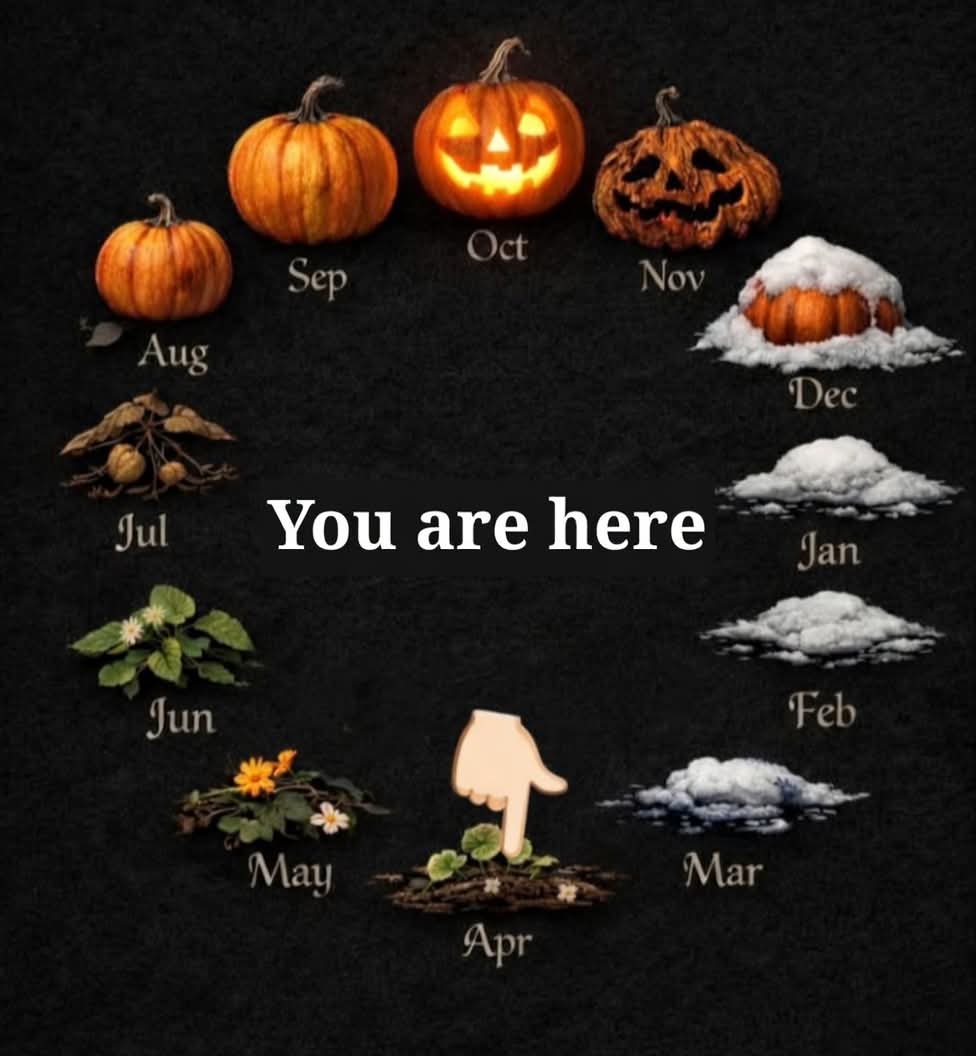 ConnieJoJo2's tweet image. Halfway to #Halloween 
🖤🧡🖤🧡