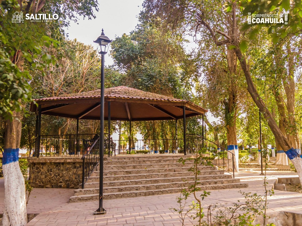 GCepedaMagico's tweet photo. ¡La Plaza Independencia del #PuebloMágico de #GeneralCepeda está lista para recibirte este fin de semana! 🌳

Recórrela en familia durante tu visita y disfruta de la tranquilidad de este gran rincón del sureste de  #Coahuila. 🤠🏔️ ¡Te esperamos!

#GeneralCepeda #PueblosMágicos https://t.co/BXtozvcjMe