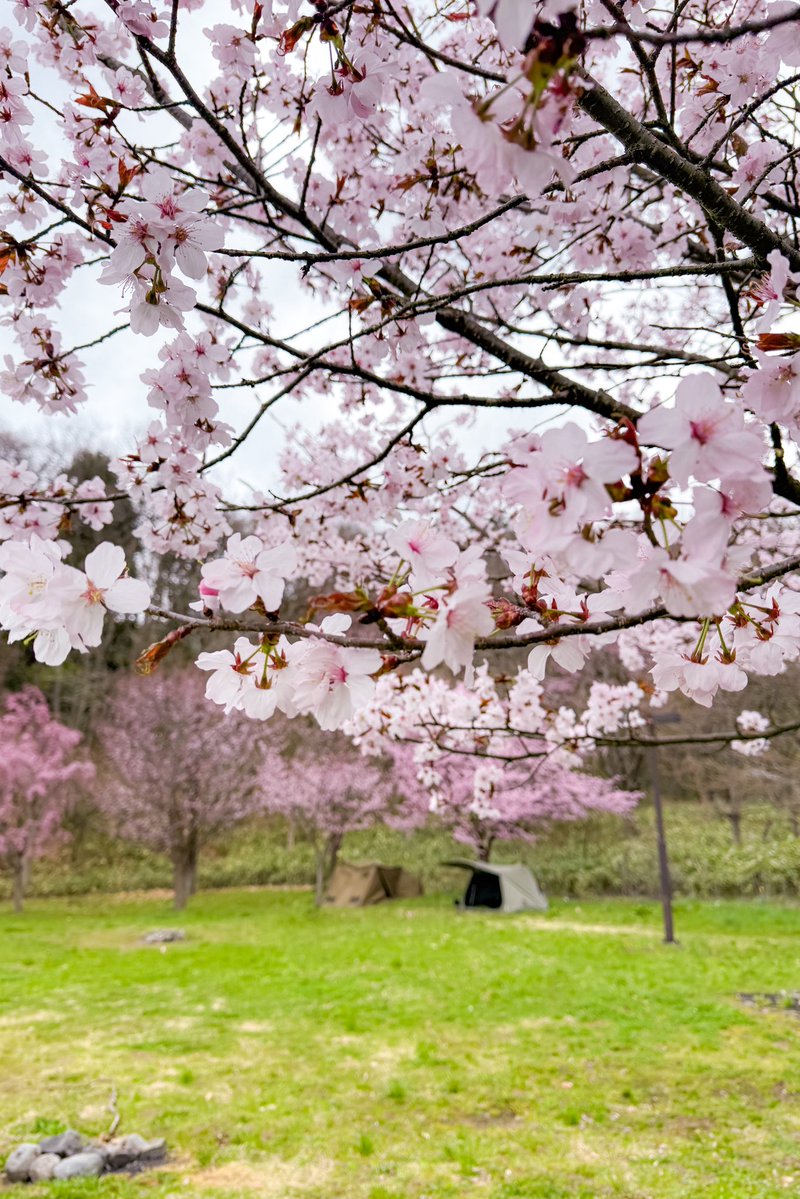 mayu*△ tweet media