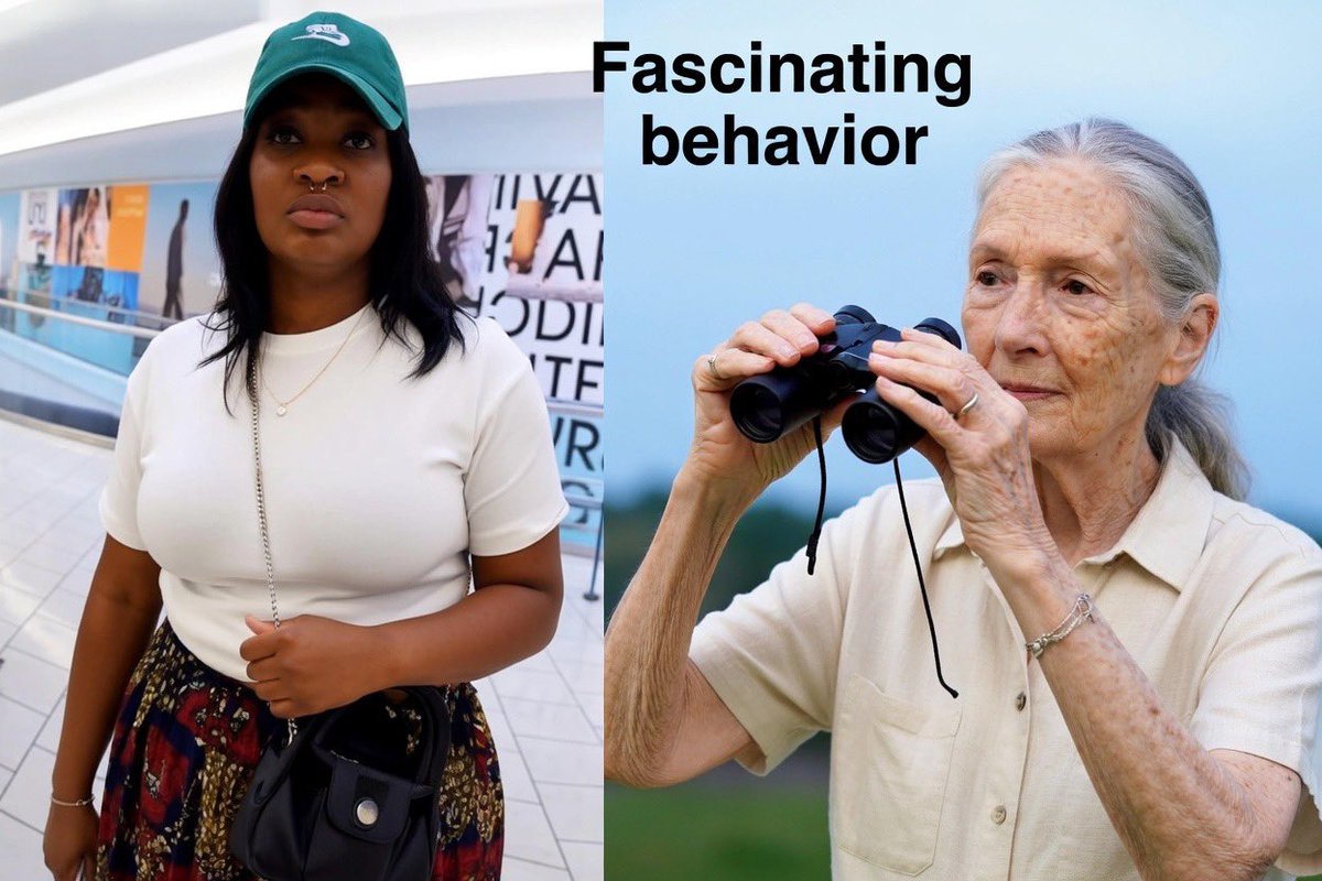 IntensityStream tweet media