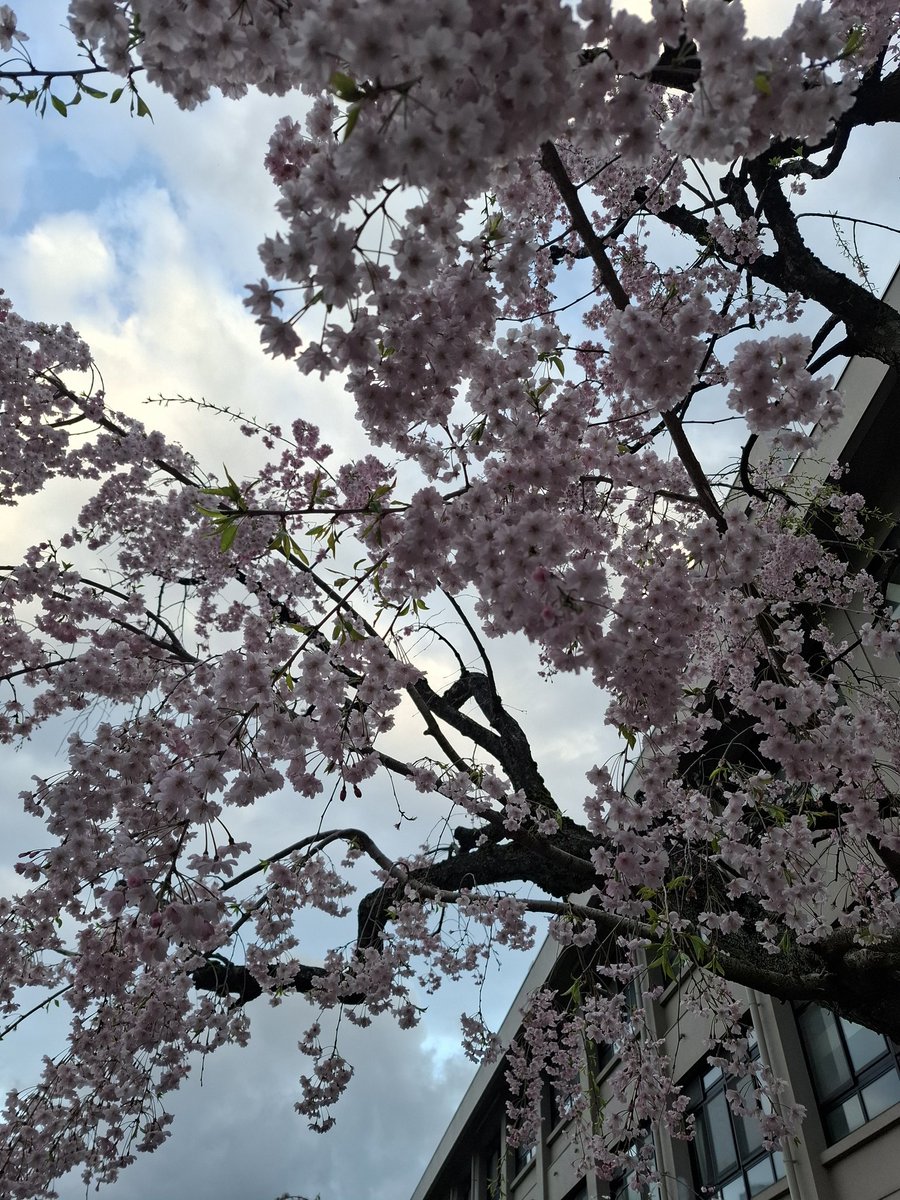 ひろみ tweet media