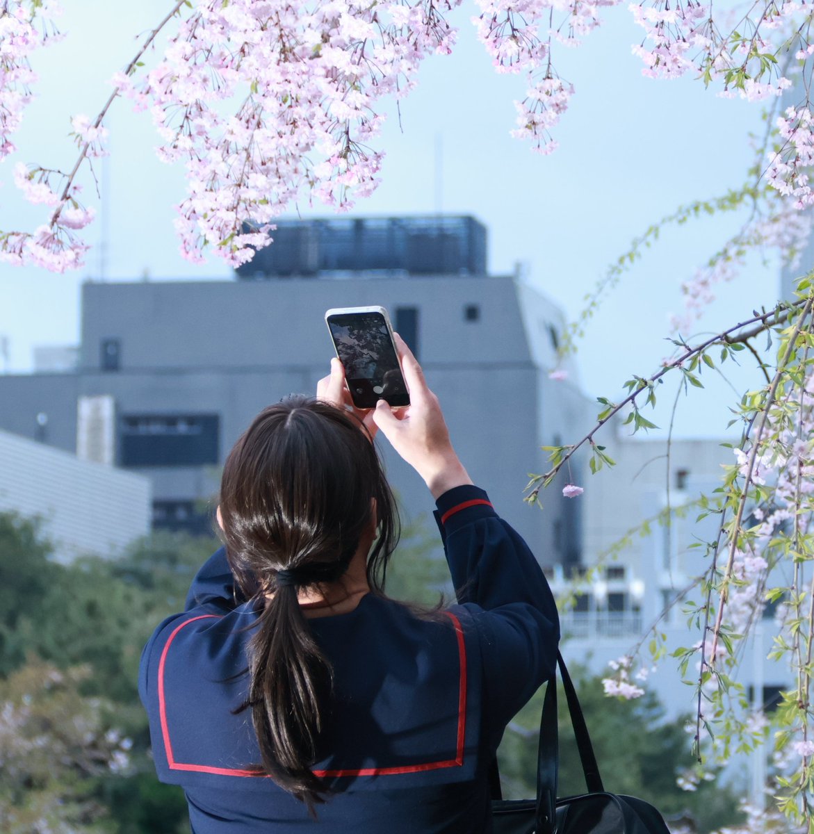 ひろみ tweet media