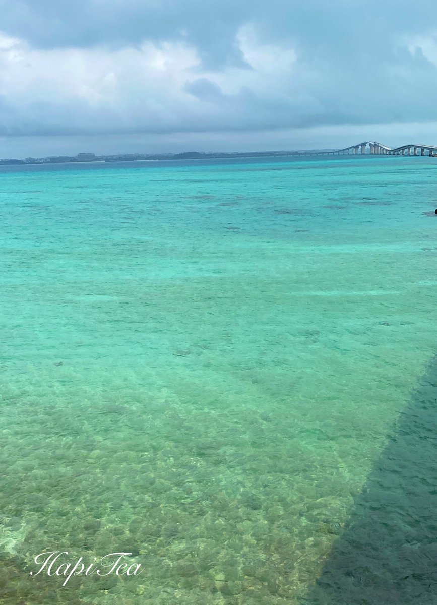 HapiTea(ハピティー) tweet media