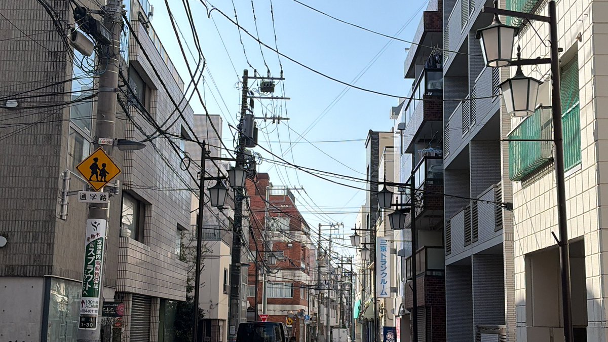 こーた tweet media