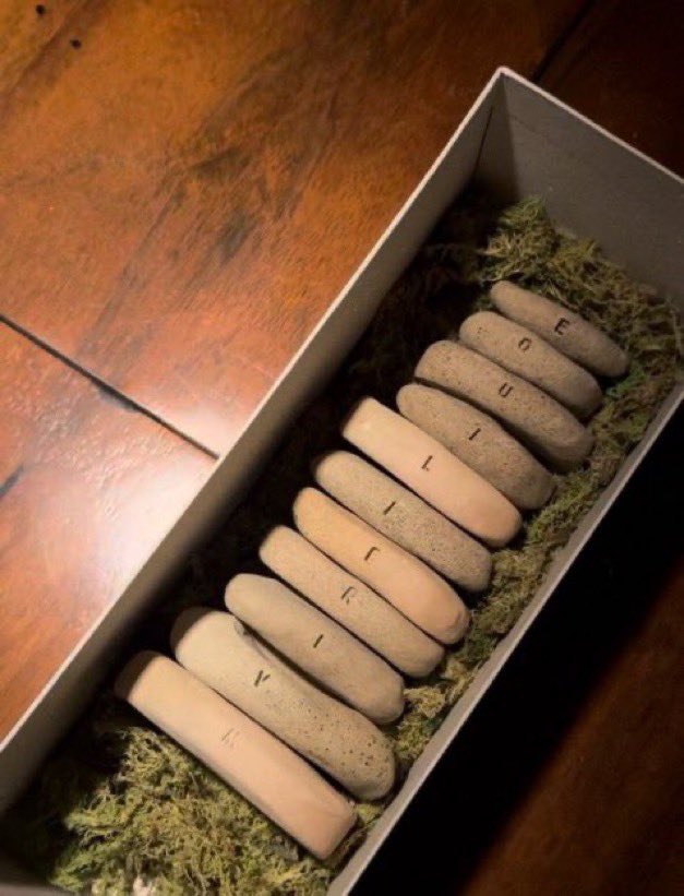 caio zzz felipe ★ tweet media