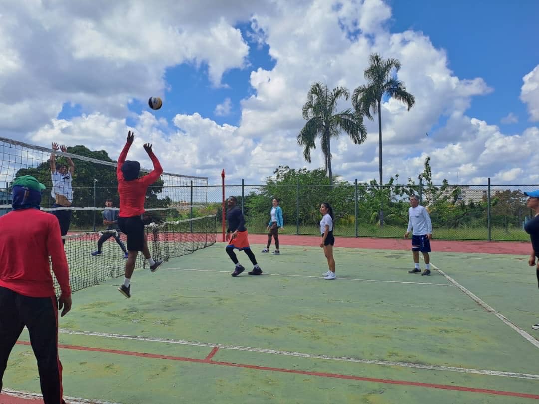 Leydis Ana tweet media