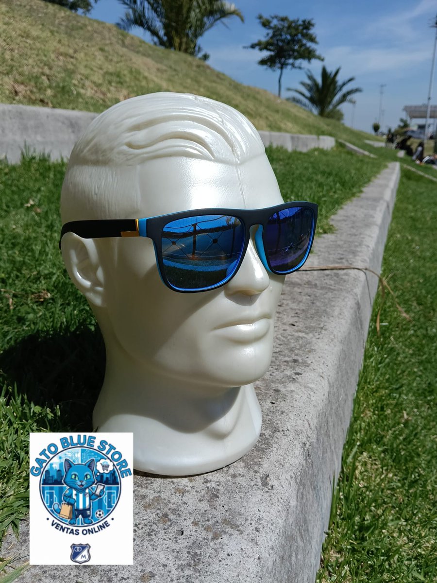 Gato Blue Store tweet media