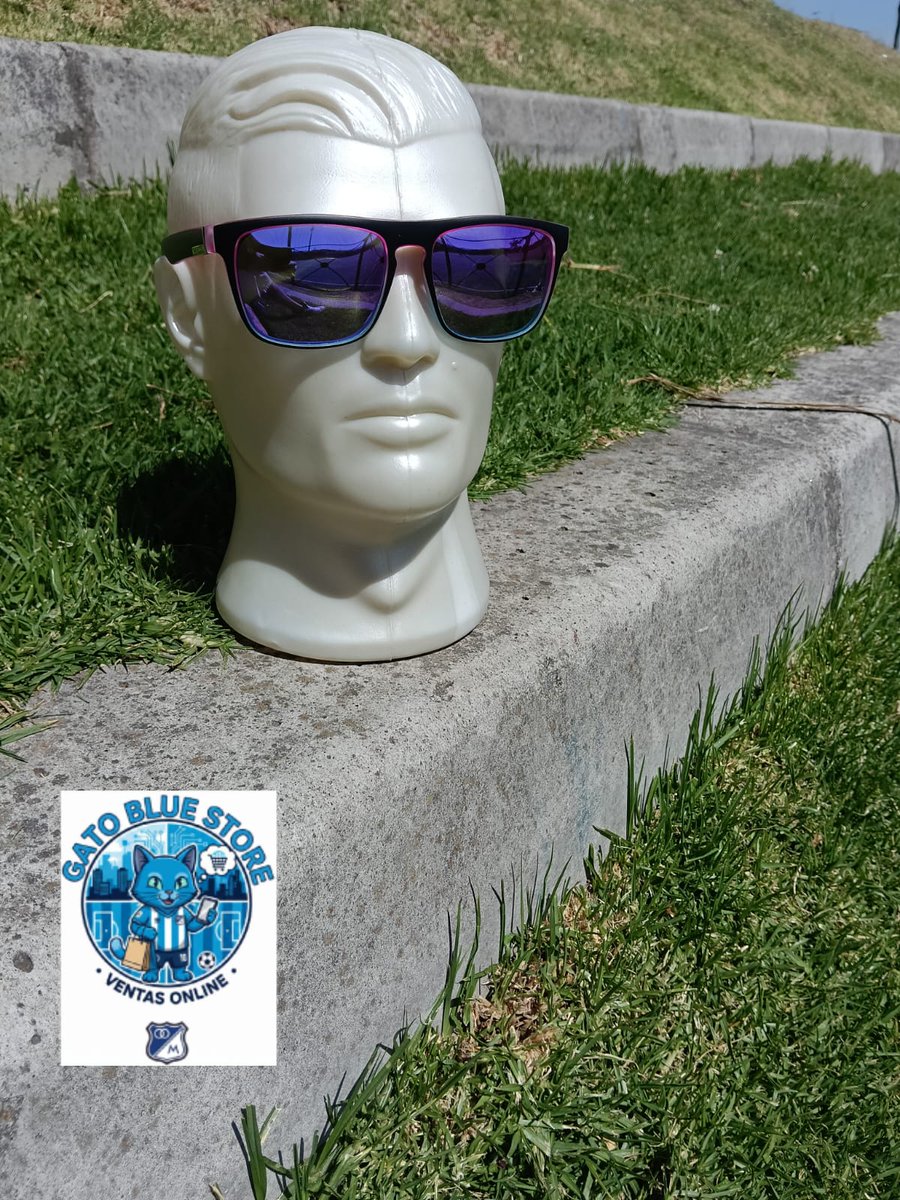 Gato Blue Store tweet media