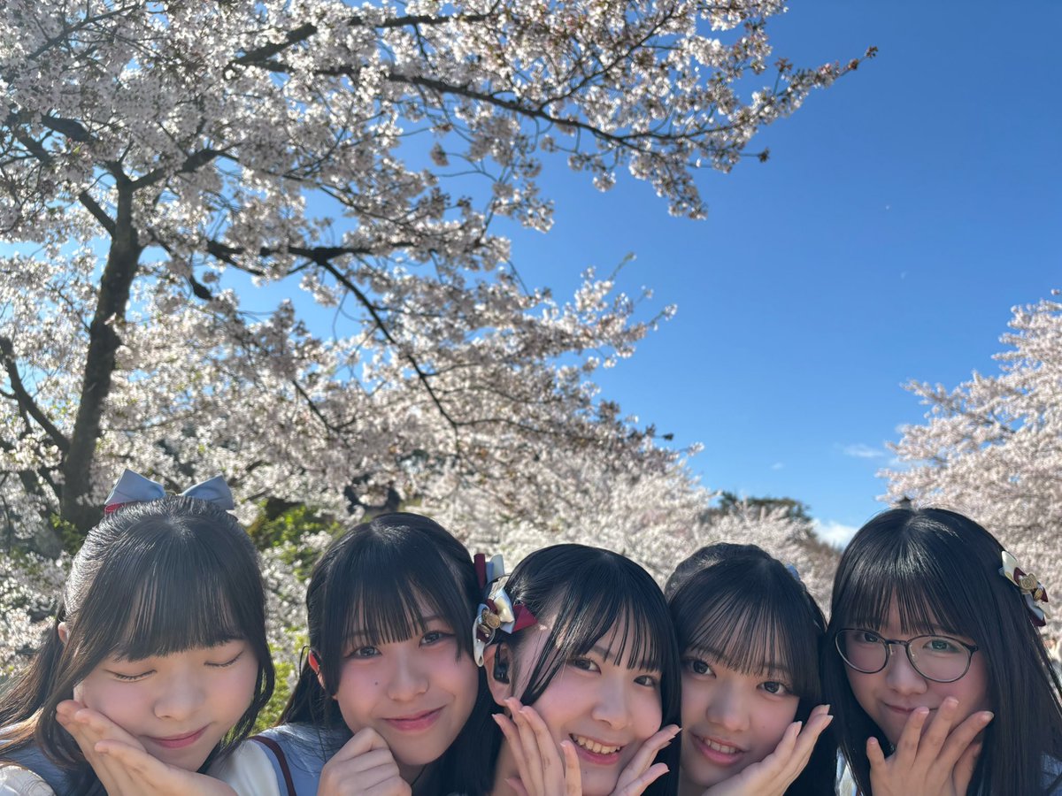 7限目のフルール tweet media