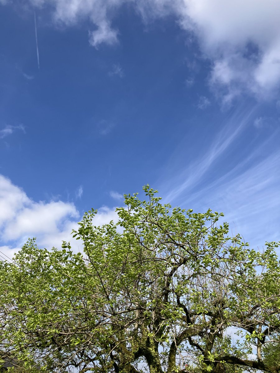 Minemototakeshi tweet media