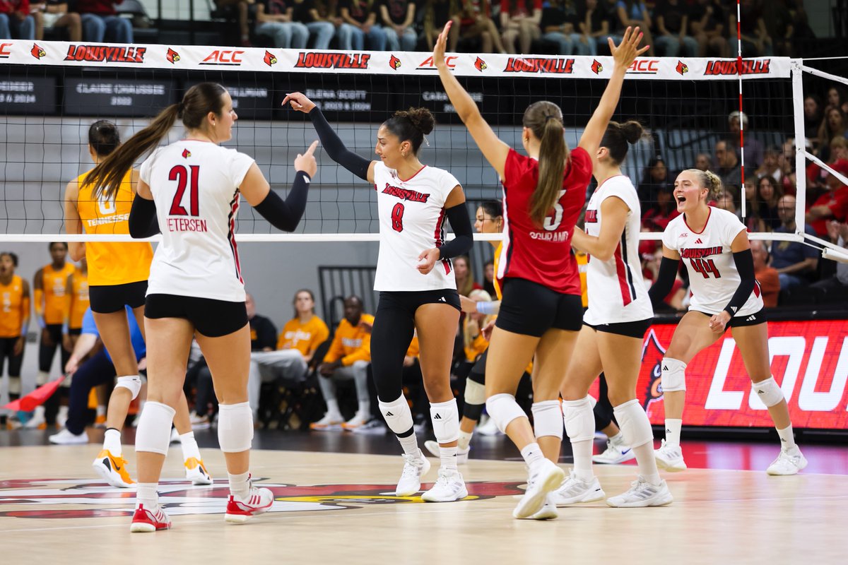 Louisville Volleyball tweet media