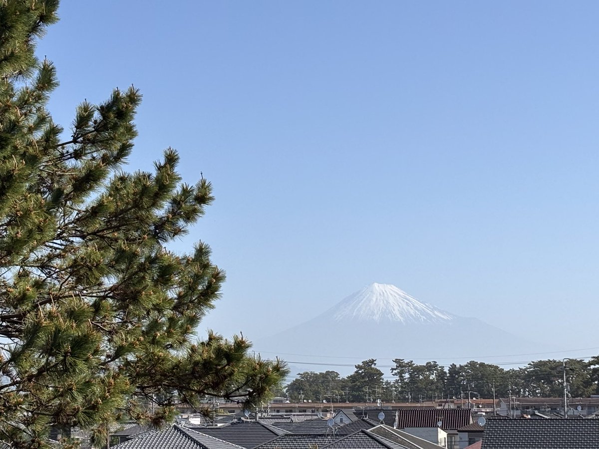 みほしるべ (静岡市三保松原文化創造センター)【公式】 tweet media