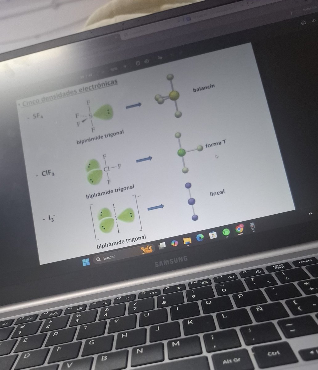 Mimi 𐔌՞. .՞𐦯 || studytwt.ᐟ tweet media