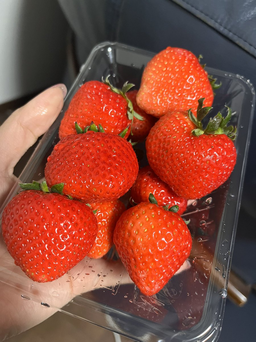 Yuuki️🩵🐈 tweet media