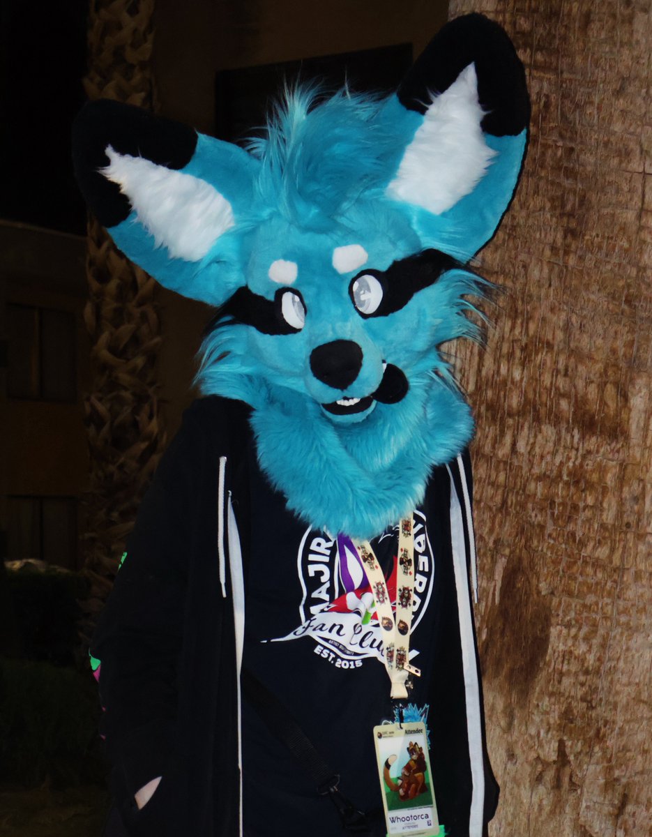 WhootOrca tweet media