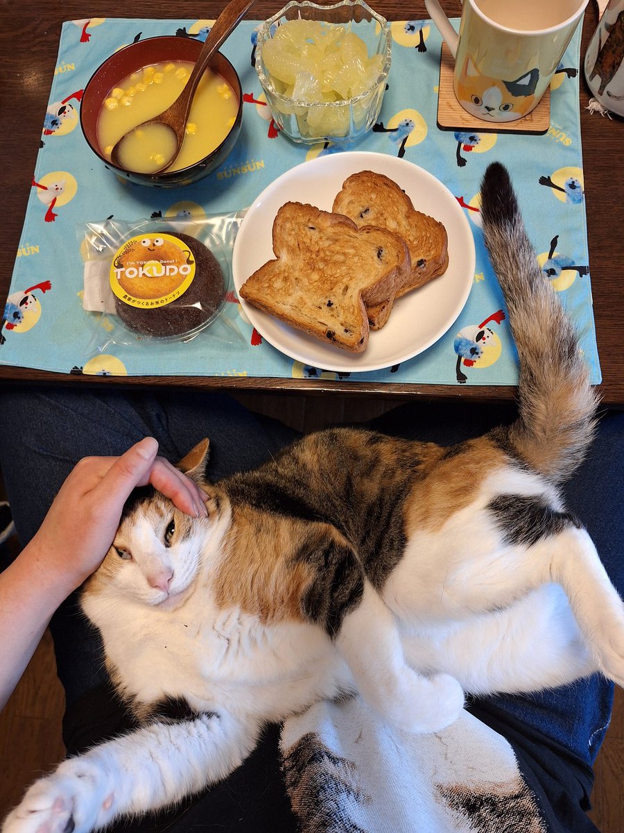 にこちゃまちゃんぬる tweet media