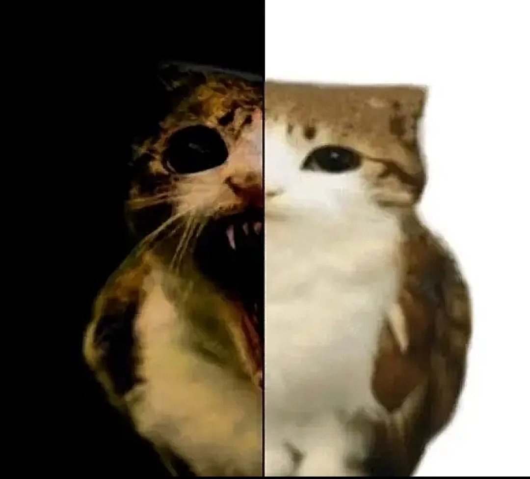 Ⓒⓗⓡⓞⓜⓐⓚⓞⓟⓘⓐ tweet media