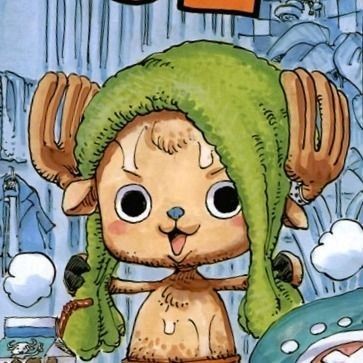 straw hat fuly tweet media