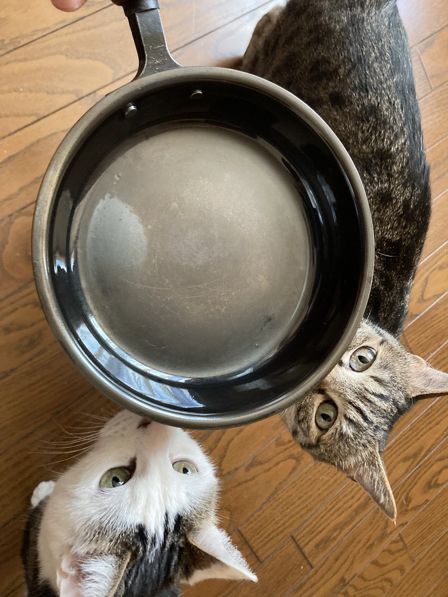 しんじ tweet media