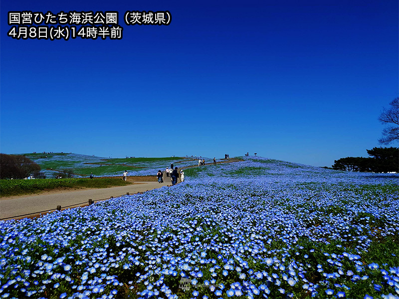 ウェザーニュース tweet media