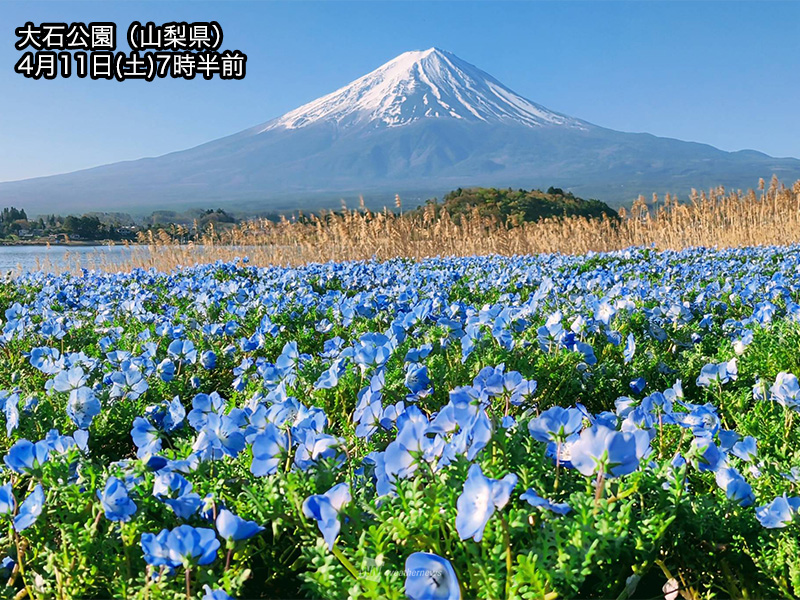 ウェザーニュース tweet media