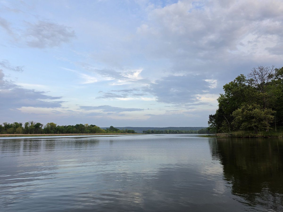 GramlichForArkansas tweet media