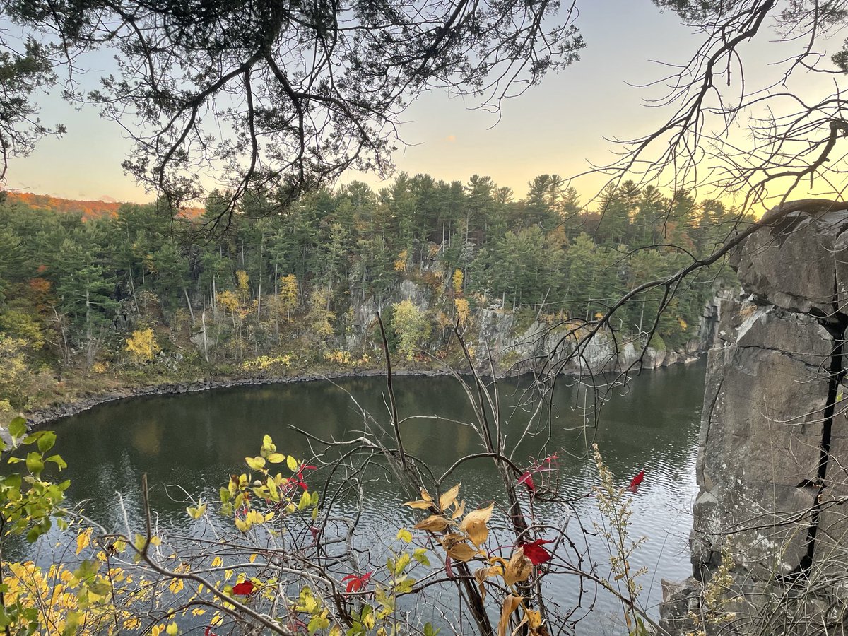 🦈 Balluf The Shark 🦈 tweet media