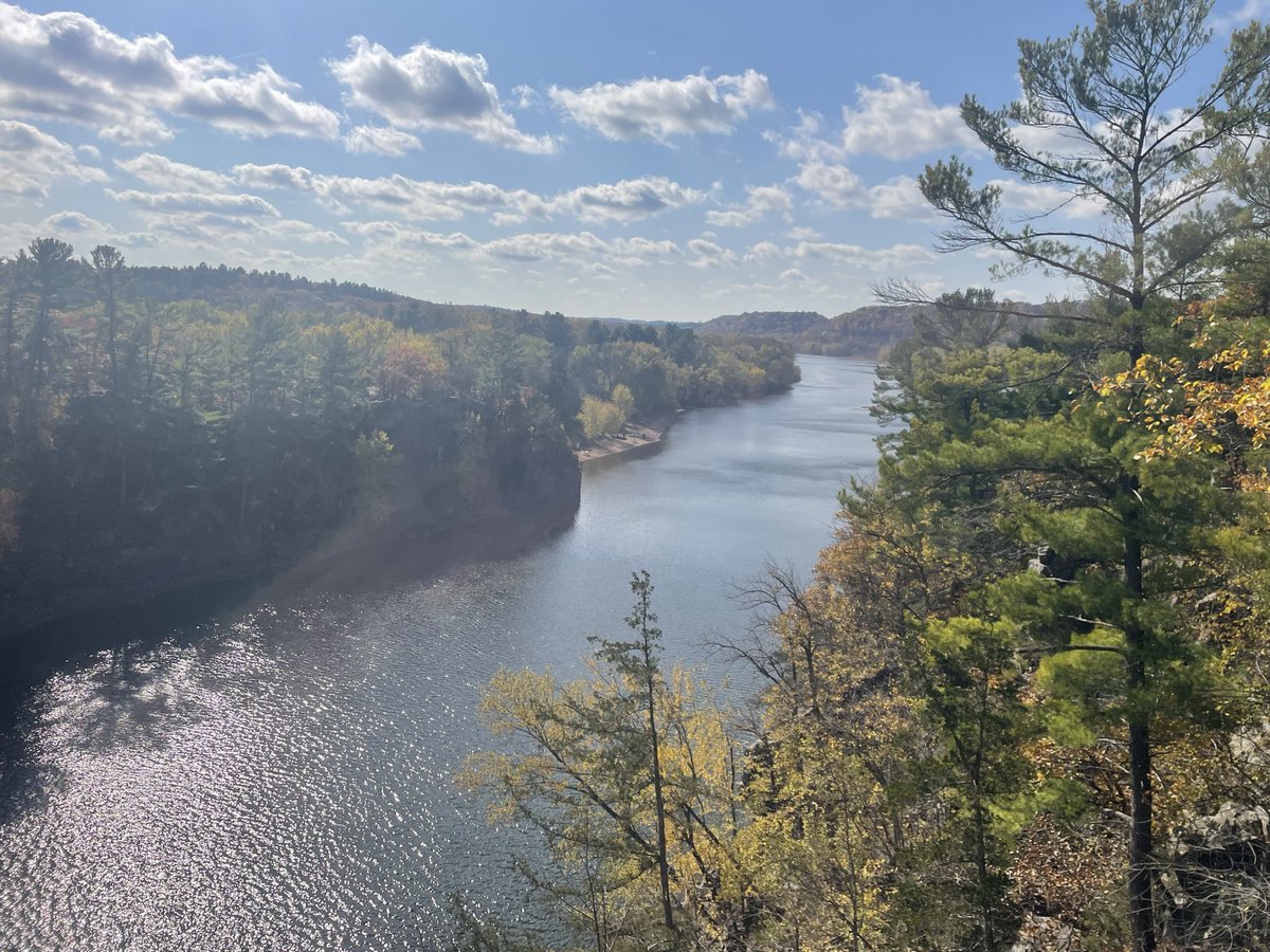 🦈 Balluf The Shark 🦈 tweet media