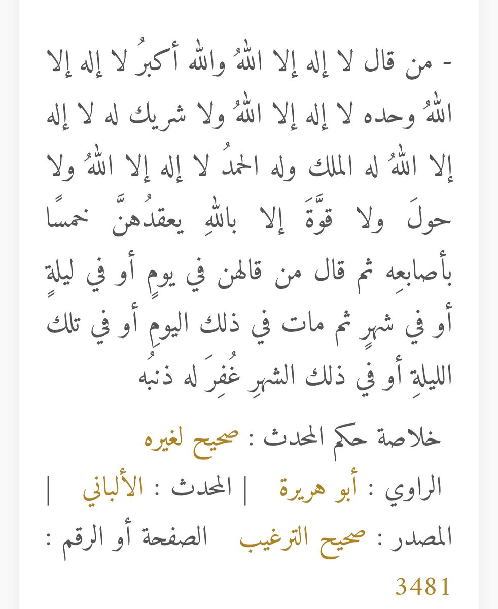 قِط tweet media