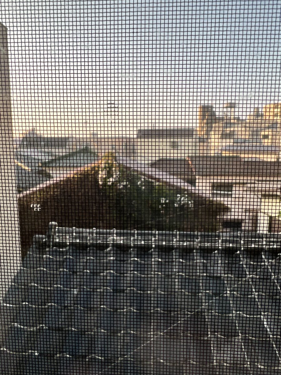 Lyndsey, RN 💜🐭 tweet media