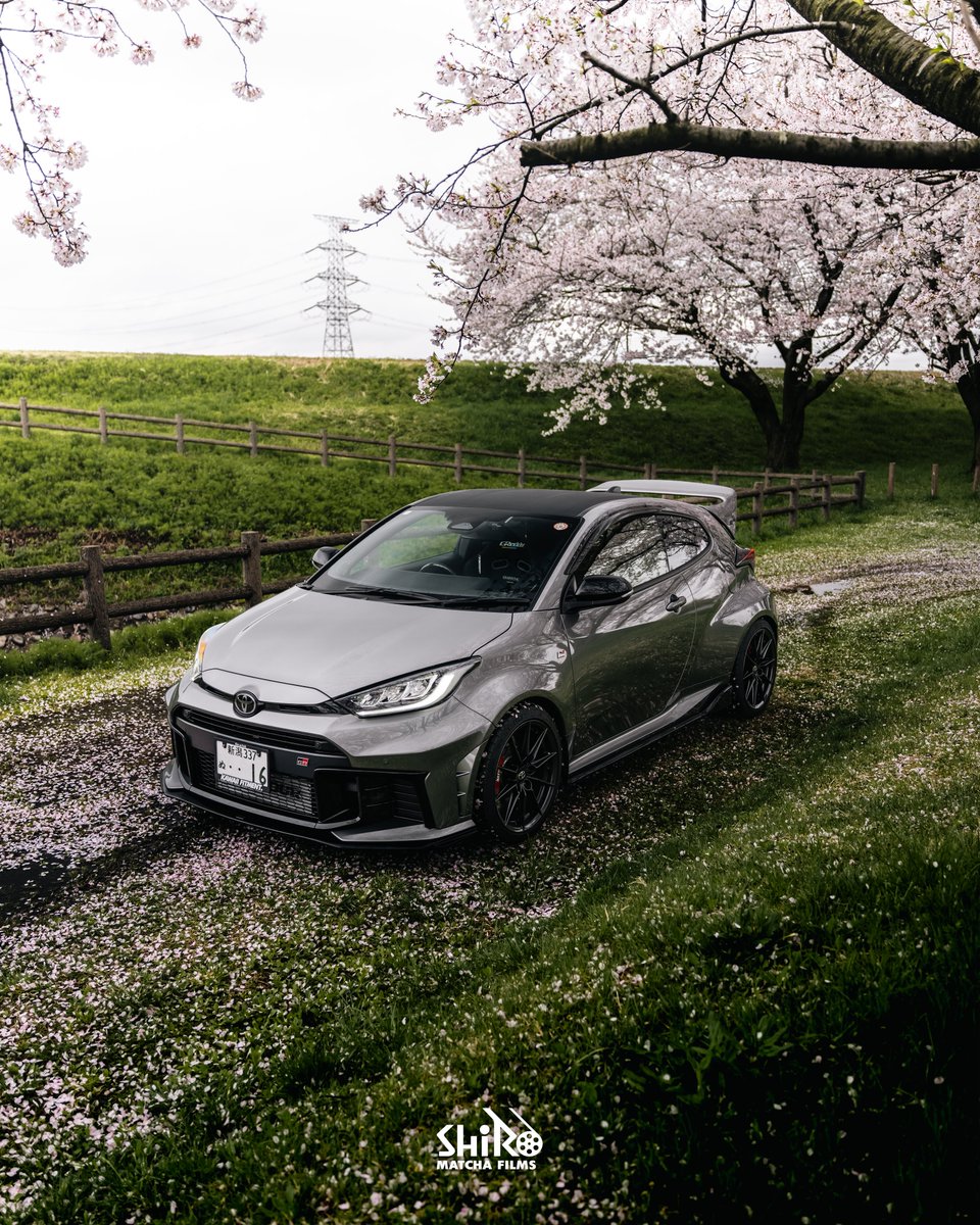 shiro matcha tweet media