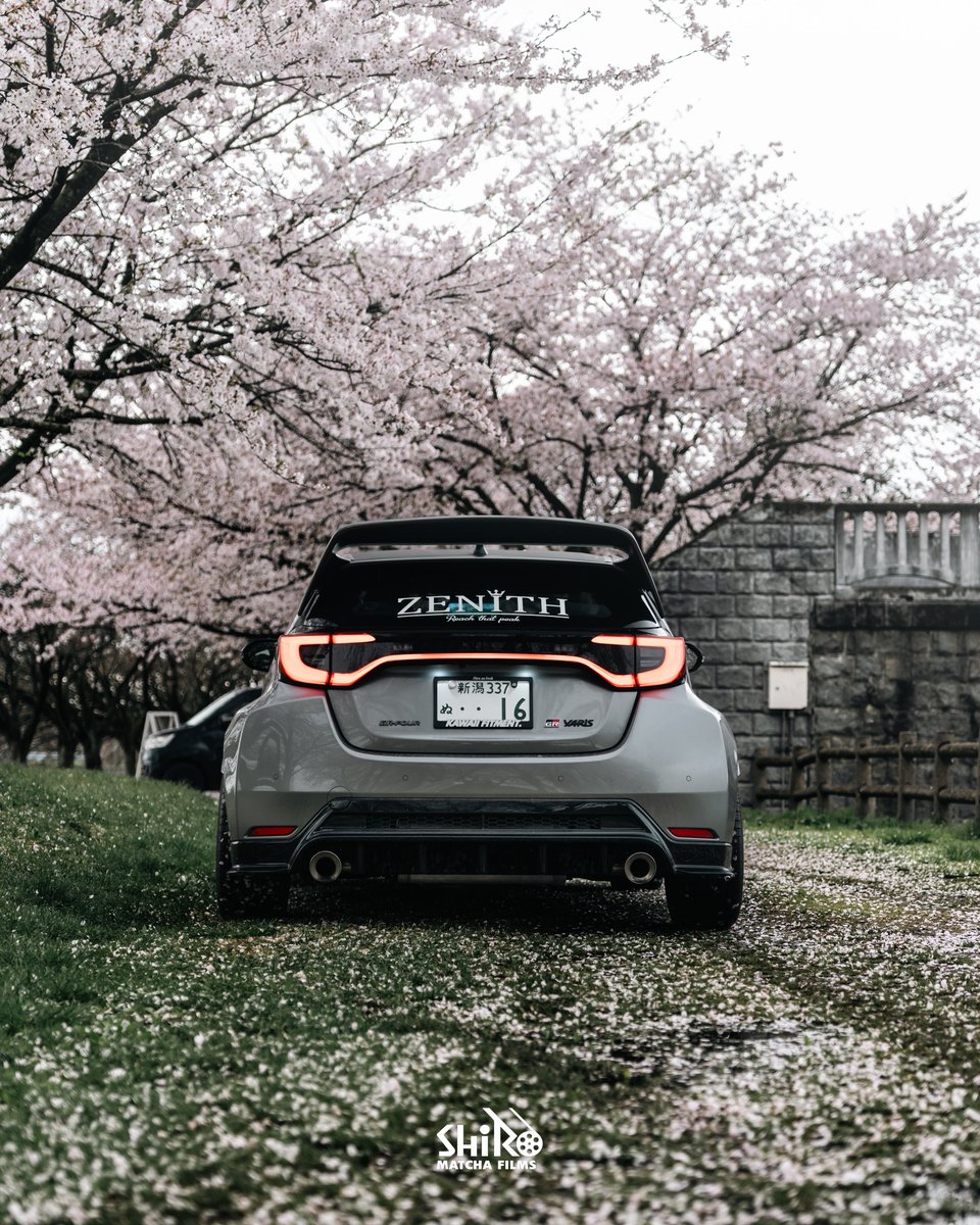 shiro matcha tweet media