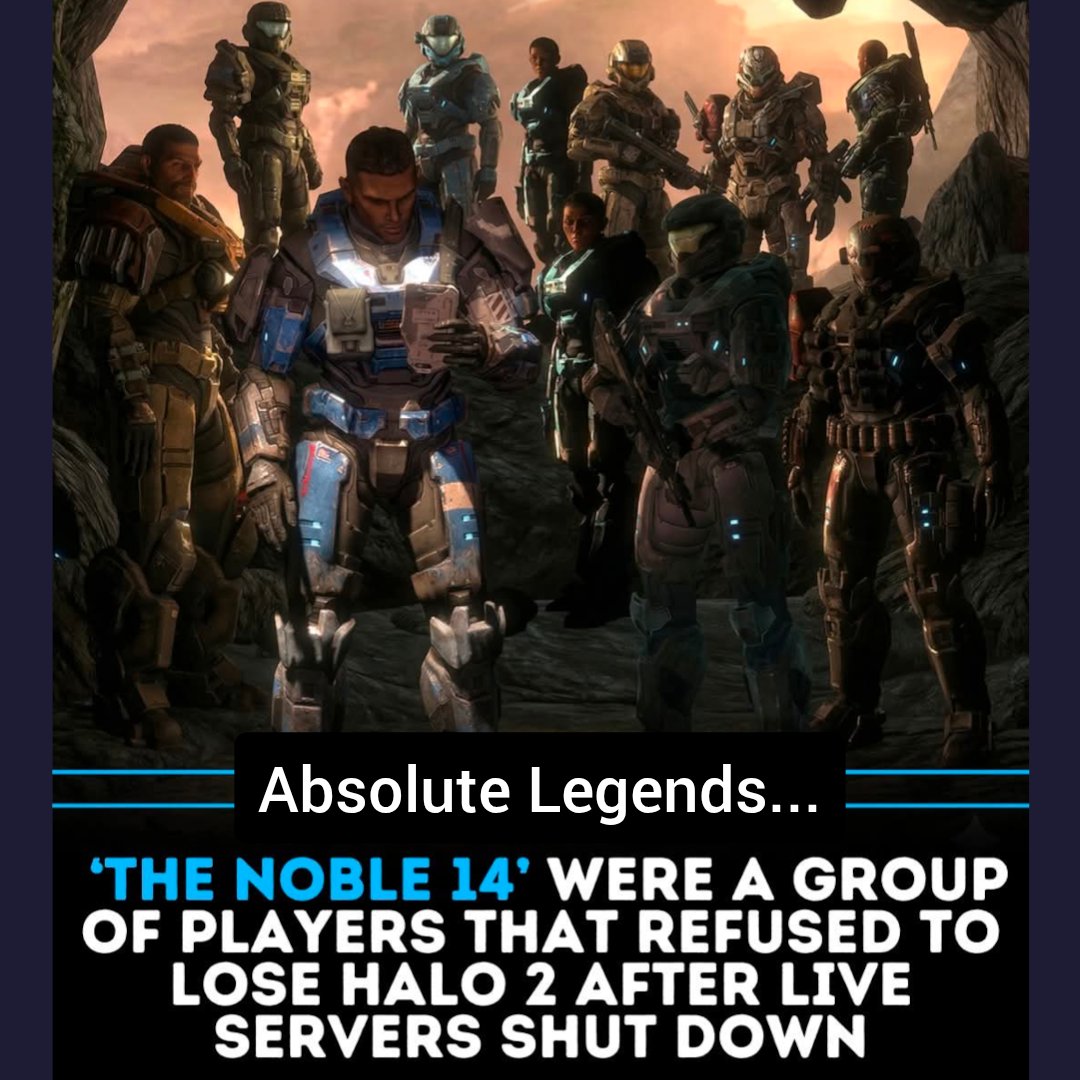 FollyTown tweet media