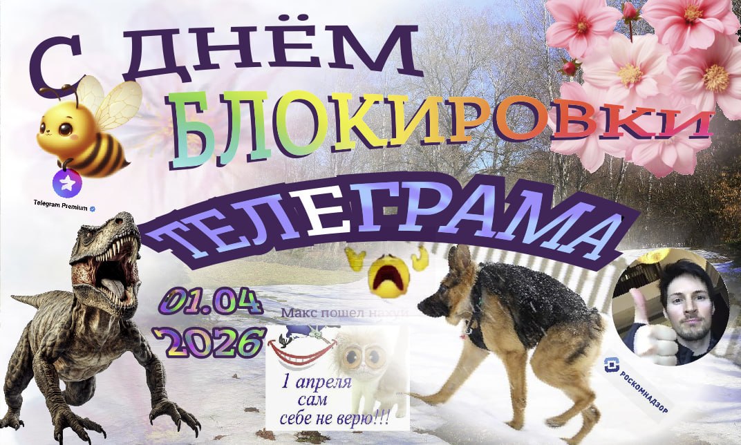 Шида постит кринж 24/7 tweet media