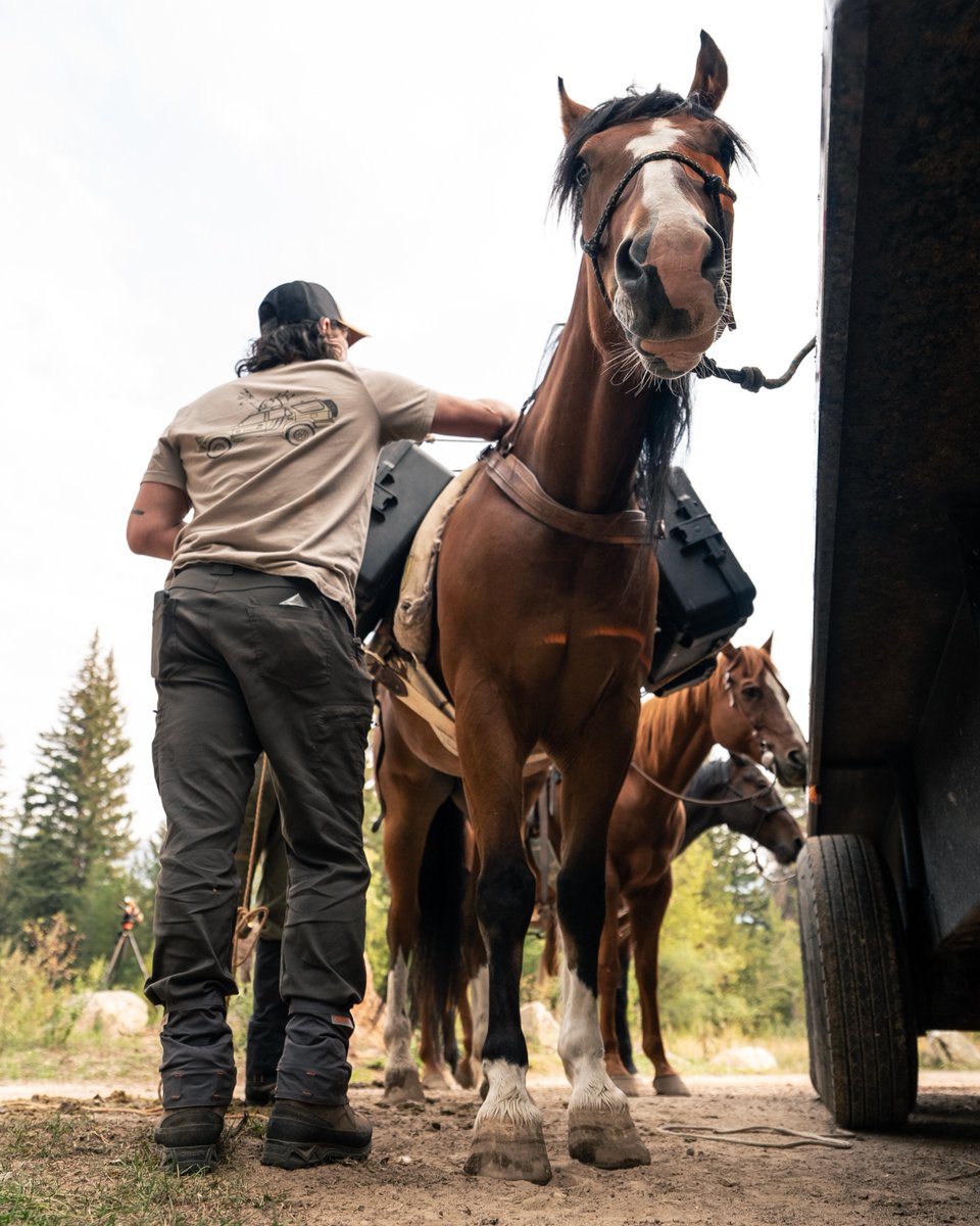 SKBCases's tweet image. Narrow trail. Big country.
SKB holds up.

bit.ly/41s8PrA

#skbcases #huntingcases #backwoods