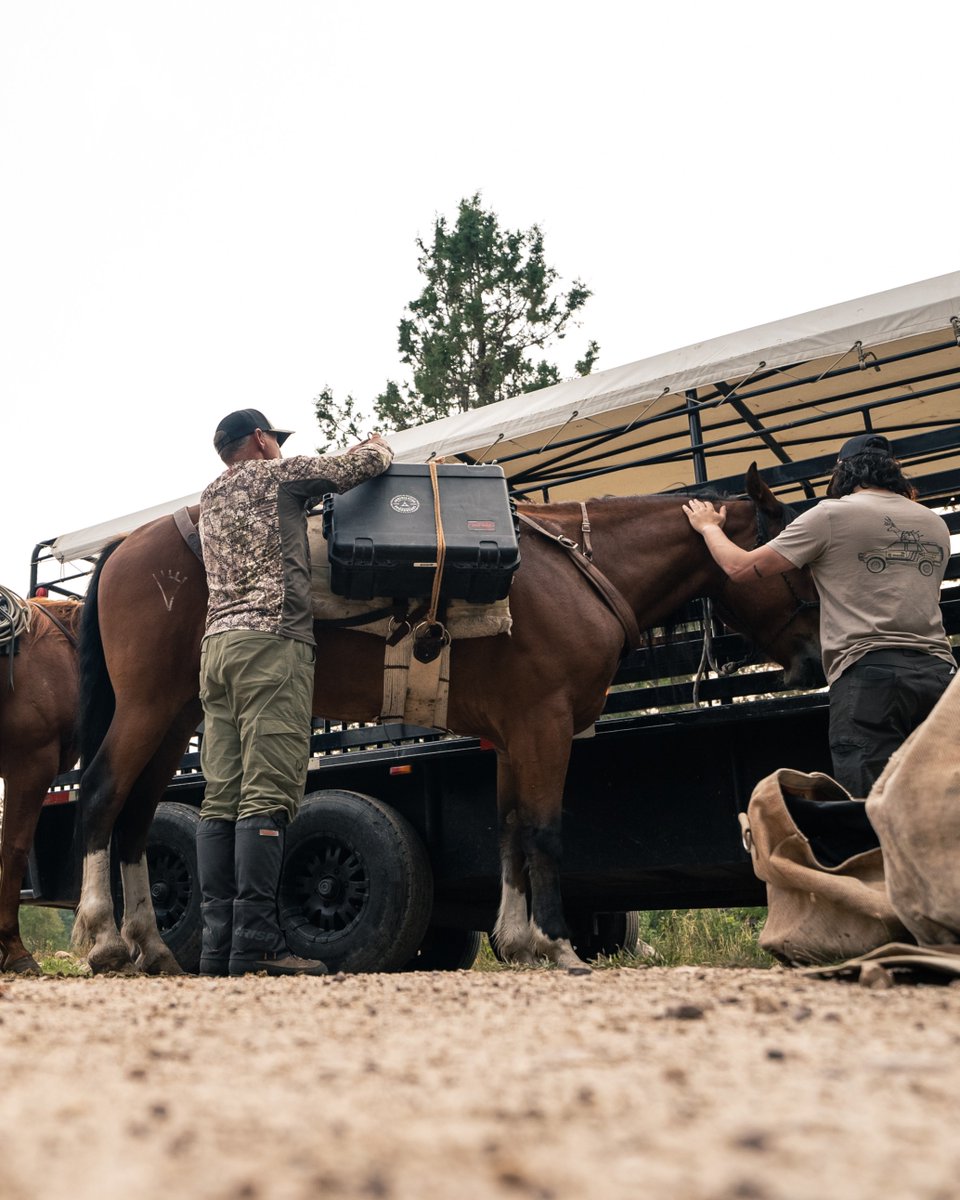 SKBCases's tweet image. Narrow trail. Big country.
SKB holds up.

bit.ly/41s8PrA

#skbcases #huntingcases #backwoods