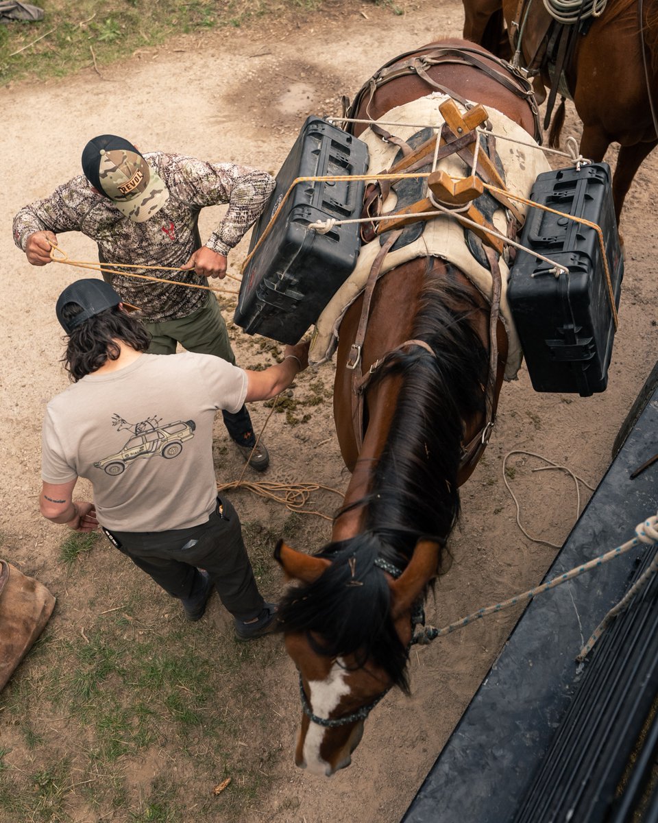 SKBCases's tweet image. Narrow trail. Big country.
SKB holds up.

bit.ly/41s8PrA

#skbcases #huntingcases #backwoods