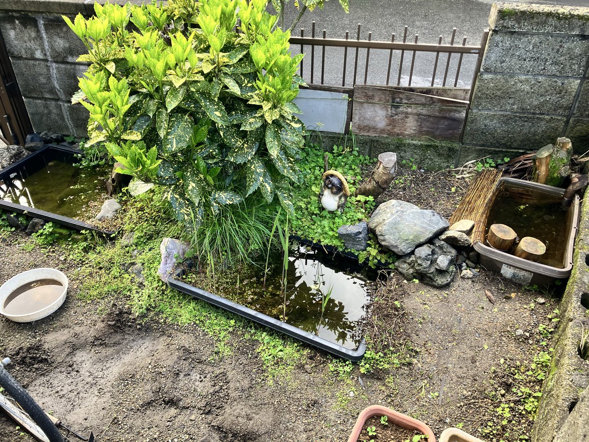 oh山 tweet media