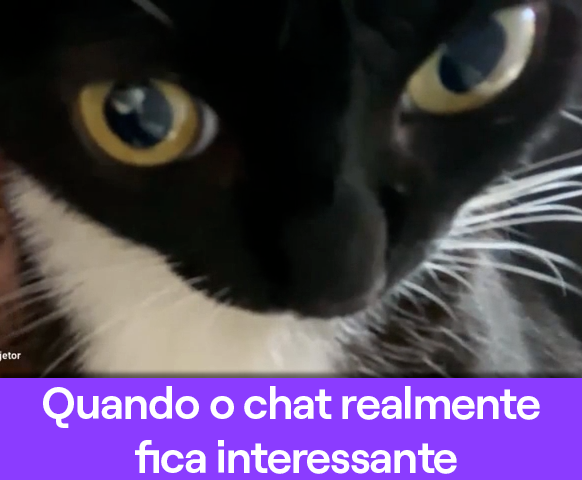 TwitchBR tweet media