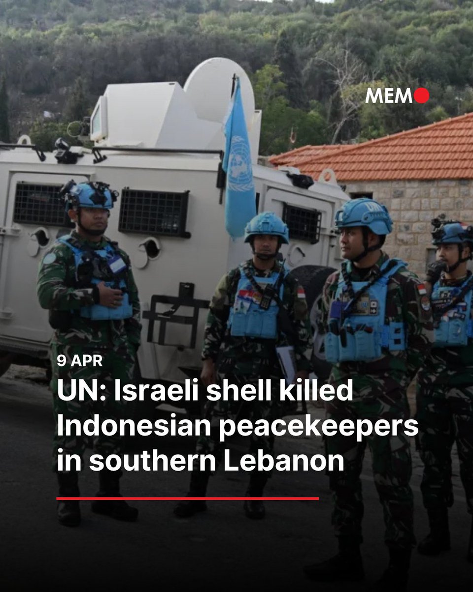 Dina Sulaeman tweet media