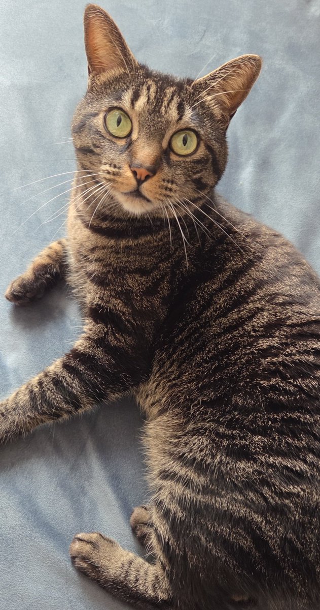 Dancin’柱 tweet media