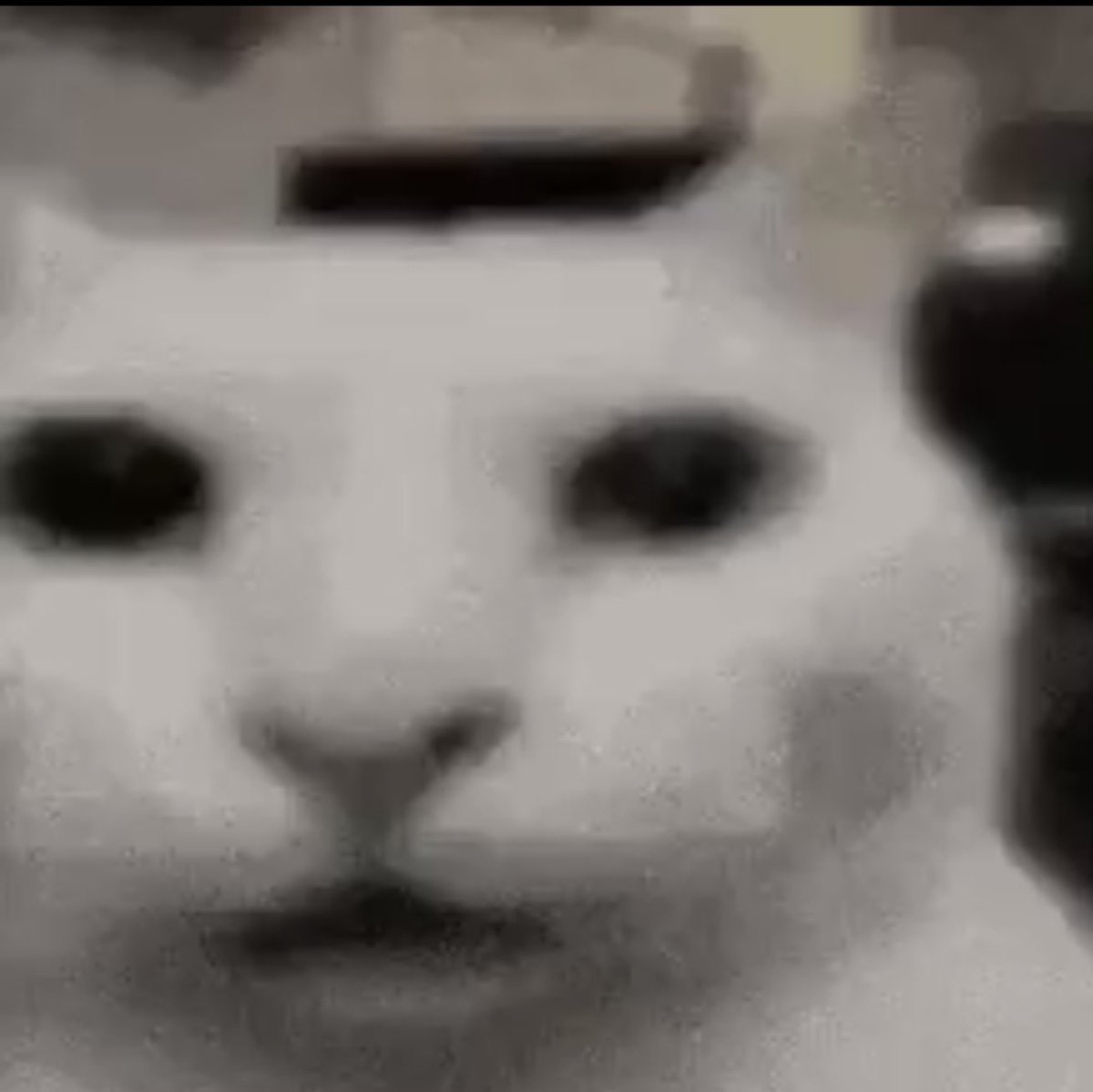 BasicSnake104 tweet media