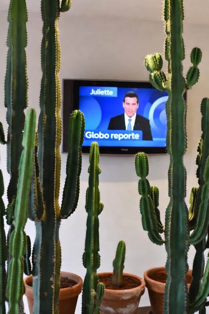 Juliette tweet media