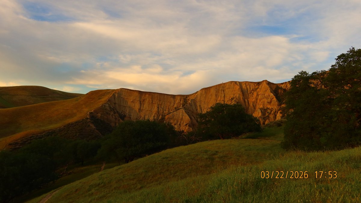 Mack Dre🎗️ tweet media