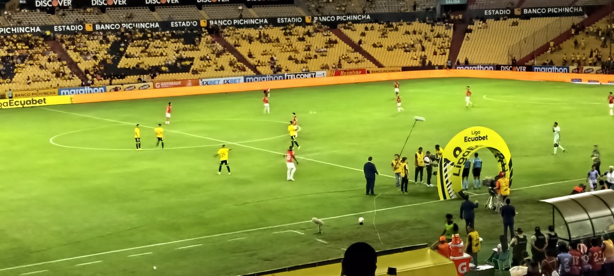 Ⅽ օ í ʍ ҍ ɾ ɑ tweet media